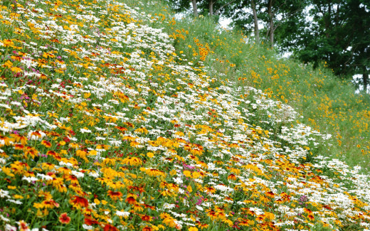 456416 (a): :1920x1200